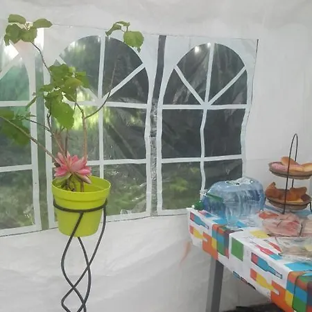 Guest house Red Dreams *