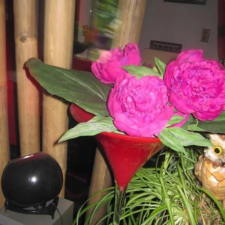 Guest house Red Dreams Jodoigne